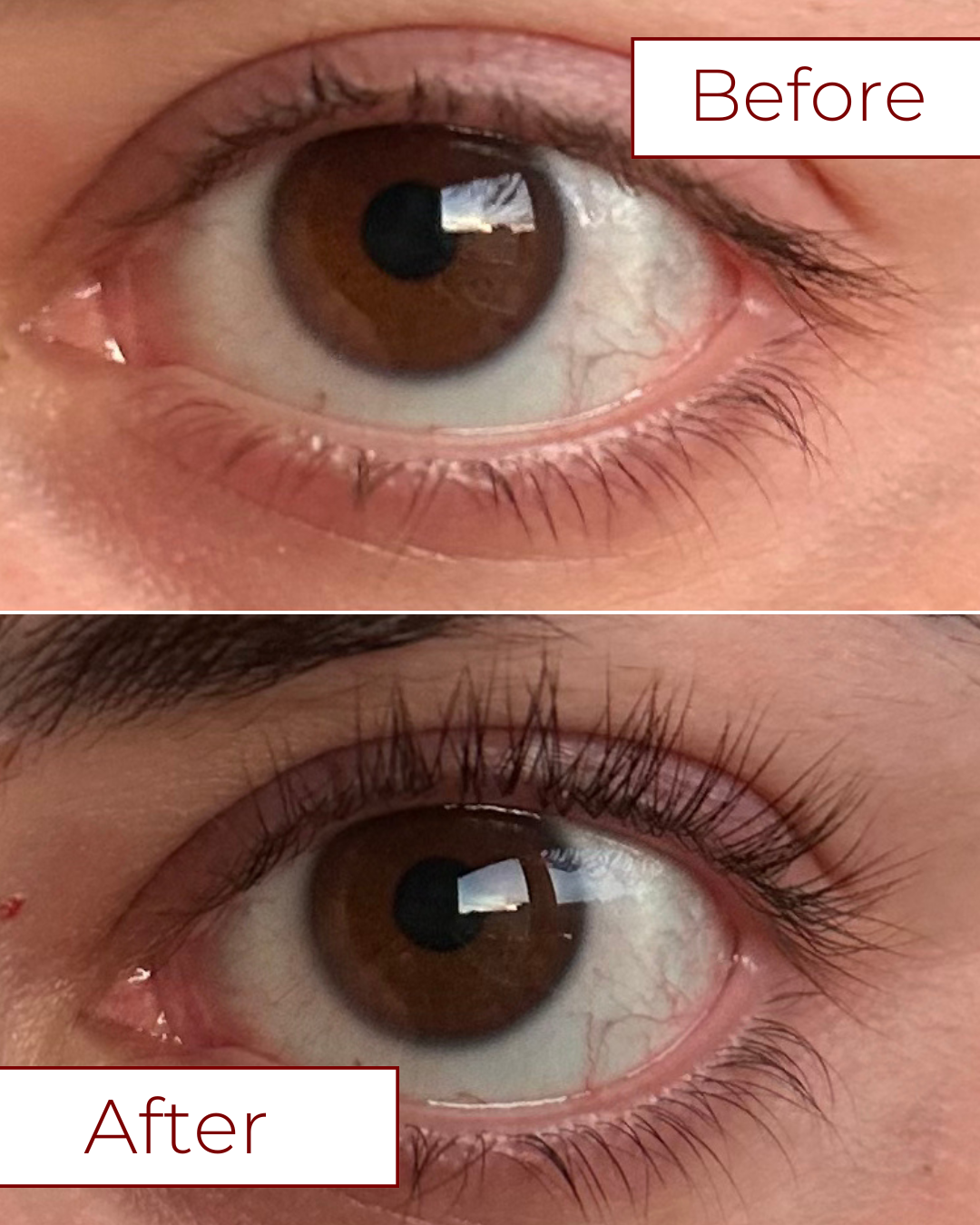 Lash serum
