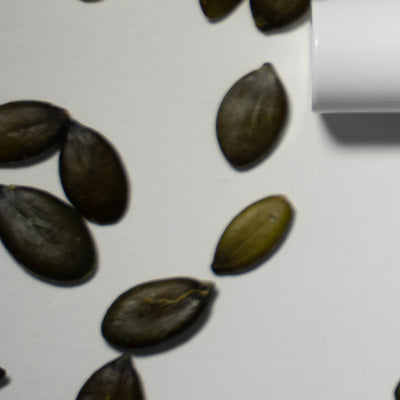 Pumpkin Seed Extract