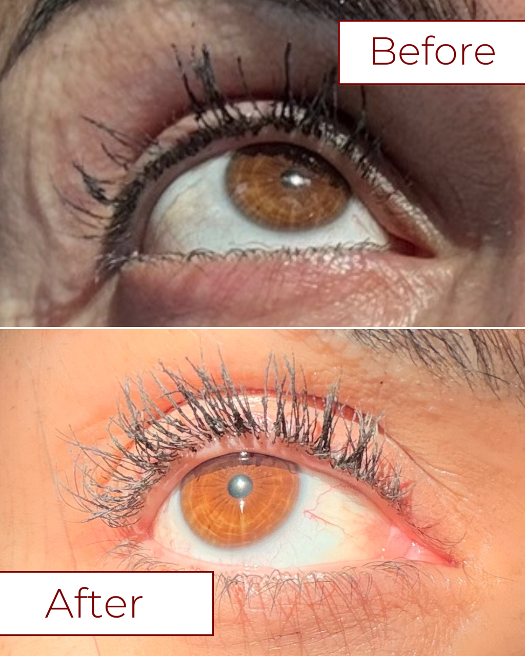 Lash serum
